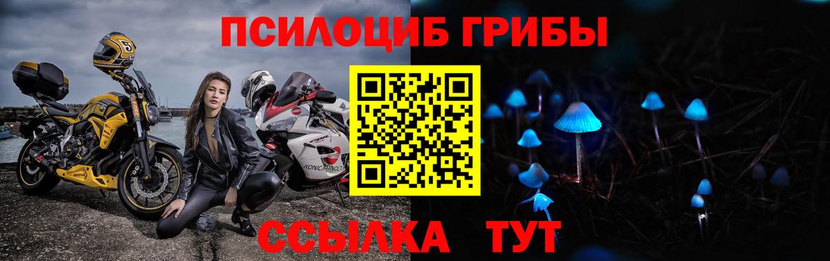 Кимовск  Псилоцибиновые грибы Psilocybe  Вход с VPN  Галлюциногенные грибы Psilocybe 